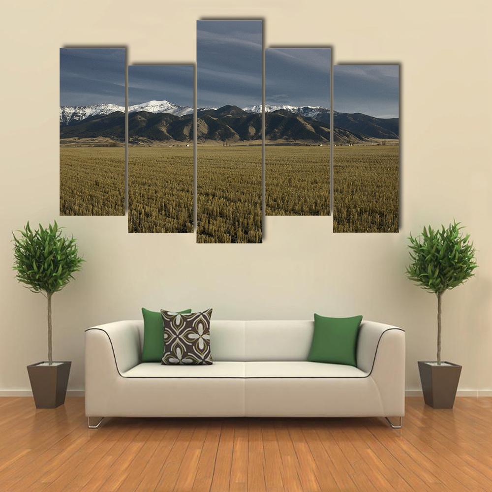 Bridger Mountains Montana Canvas Wall Art-5 Pop-Gallery Wrap-32" x 21"-Tiaracle