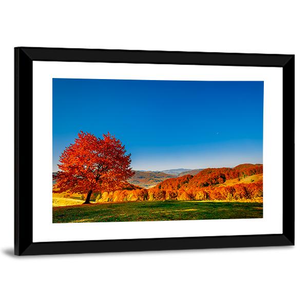 Carpathian Mountains In Autumn Canvas Wall Art-5 Horizontal-Gallery Wrap-22" x 12"-Tiaracle