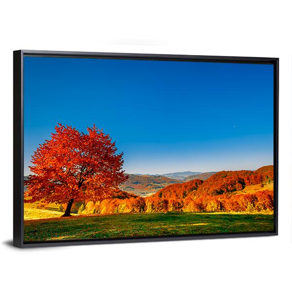 Carpathian Mountains In Autumn Canvas Wall Art-5 Horizontal-Gallery Wrap-22" x 12"-Tiaracle