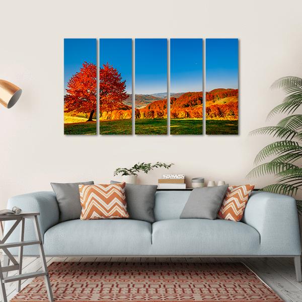 Carpathian Mountains In Autumn Canvas Wall Art-5 Horizontal-Gallery Wrap-22" x 12"-Tiaracle