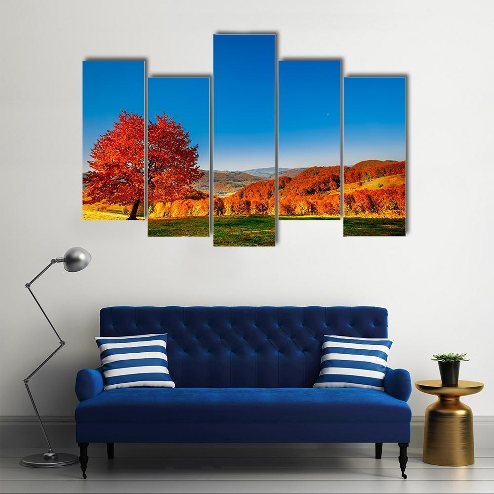 Carpathian Mountains In Autumn Canvas Wall Art-5 Pop-Gallery Wrap-47" x 32"-Tiaracle