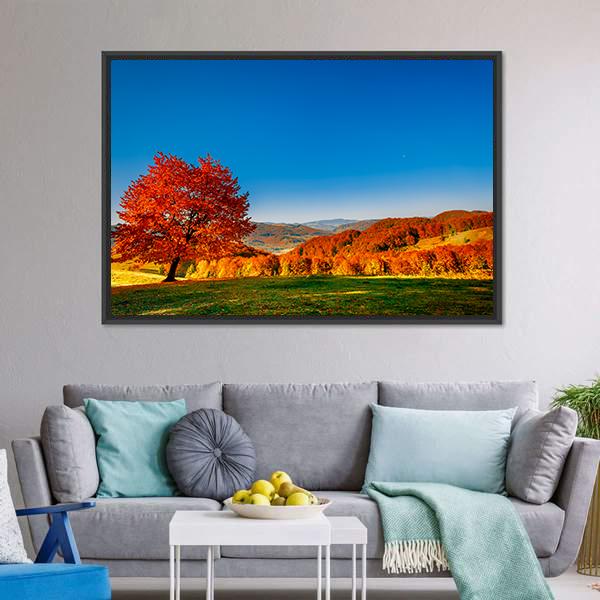 Carpathian Mountains In Autumn Canvas Wall Art-1 Piece-Floating Frame-24" x 16"-Tiaracle