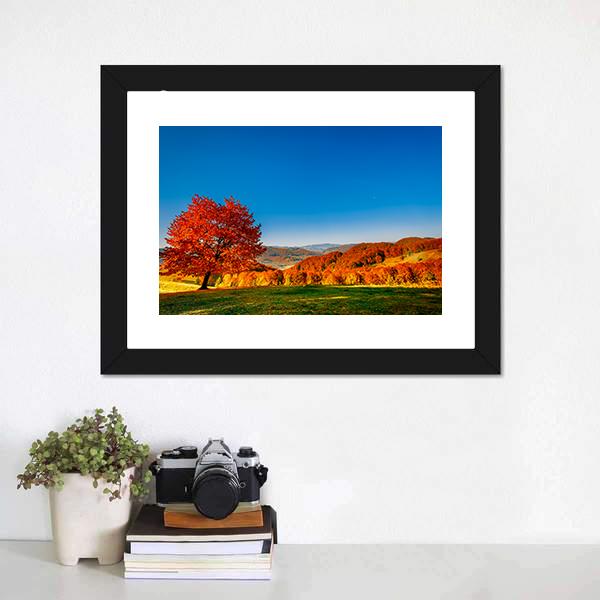 Carpathian Mountains In Autumn Canvas Wall Art-1 Piece-Framed Print-20" x 16"-Tiaracle
