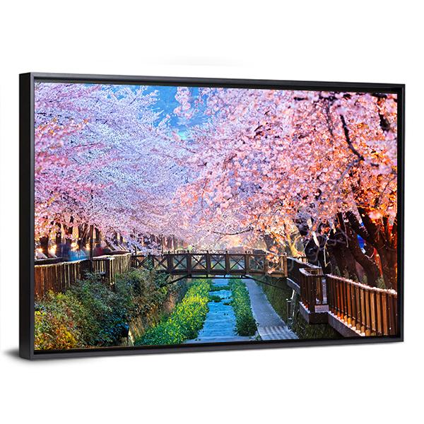 Cherry Blossoms At Night Canvas Wall Art-3 Horizontal-Gallery Wrap-25" x 16"-Tiaracle