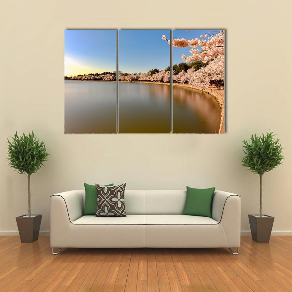 Cherry Blossoms At Tidal Basin Canvas Wall Art-3 Horizontal-Gallery Wrap-37" x 24"-Tiaracle