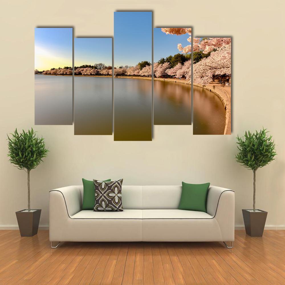 Cherry Blossoms At Tidal Basin Canvas Wall Art-5 Pop-Gallery Wrap-47" x 32"-Tiaracle