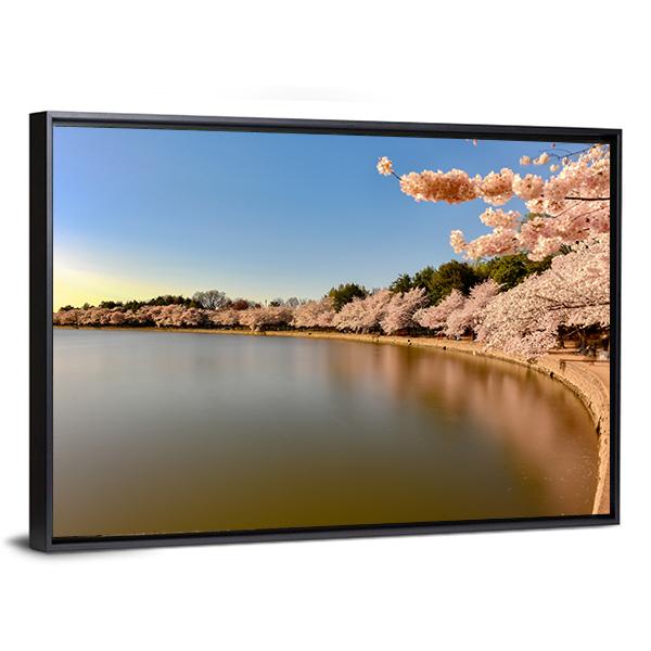 Cherry Blossoms At Tidal Basin Canvas Wall Art-3 Horizontal-Gallery Wrap-25" x 16"-Tiaracle