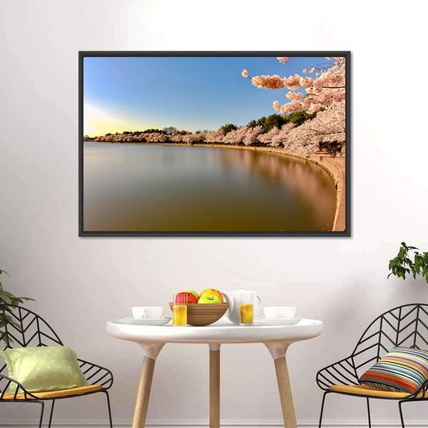 Cherry Blossoms at Tidal Basin Canvas Wall Art in brown, blue and pink, framed canvas, product view on a white background