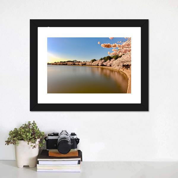 Cherry Blossoms At Tidal Basin Canvas Wall Art-3 Horizontal-Gallery Wrap-25" x 16"-Tiaracle