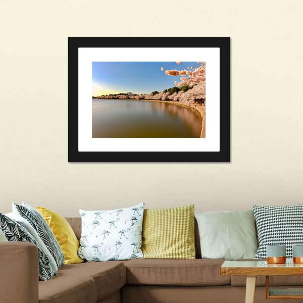 Cherry Blossoms At Tidal Basin Canvas Wall Art-1 Piece-Framed Print-20" x 16"-Tiaracle