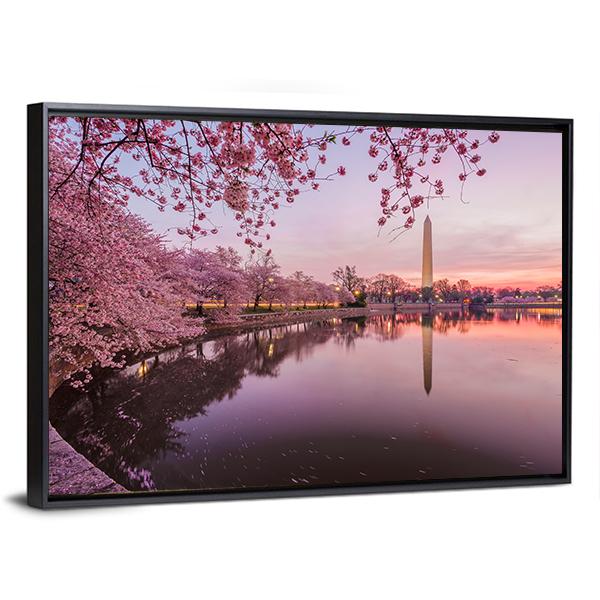 Cherry Blossoms In Peak Bloom Canvas Wall Art-3 Horizontal-Gallery Wrap-25" x 16"-Tiaracle