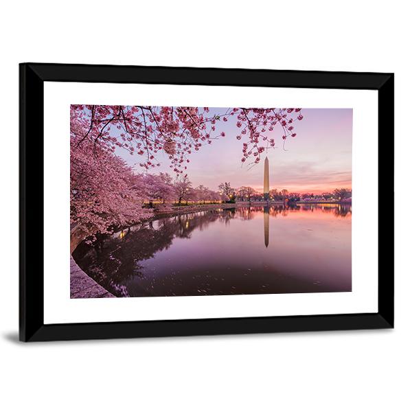 Cherry Blossoms In Peak Bloom Canvas Wall Art-3 Horizontal-Gallery Wrap-25" x 16"-Tiaracle