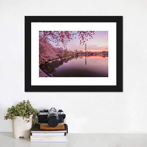 Cherry Blossoms In Peak Bloom Canvas Wall Art-1 Piece-Framed Print-20" x 16"-Tiaracle