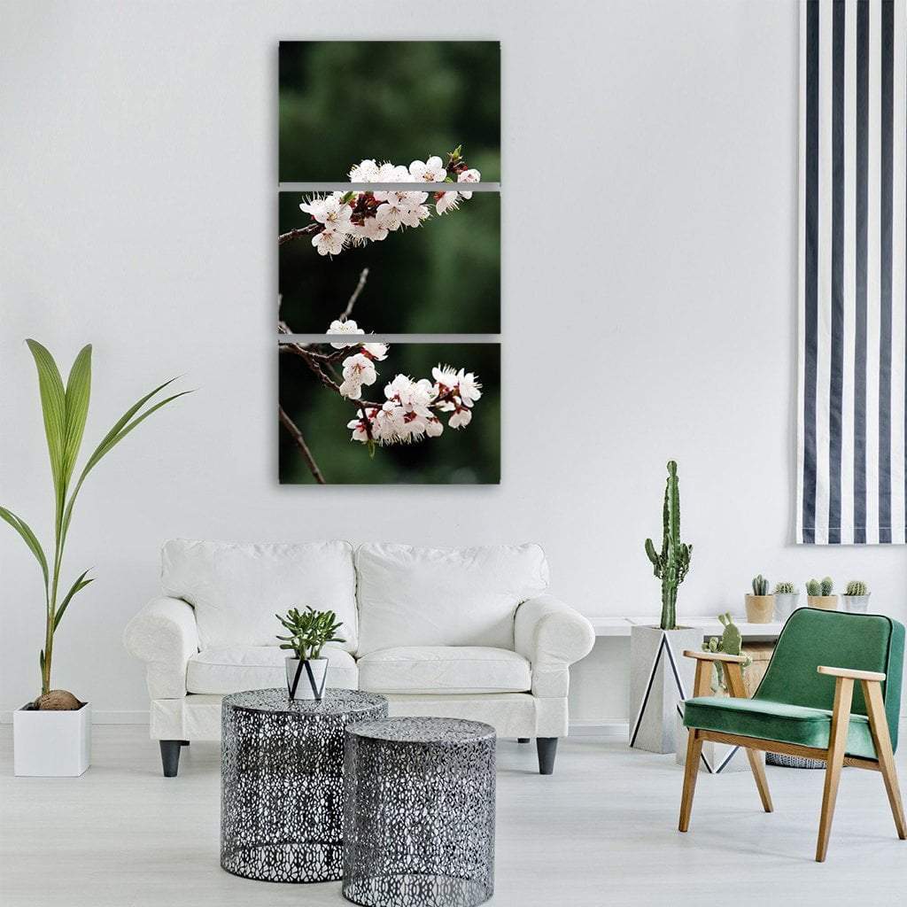 Cherry Flowers Tree Vertical Canvas Wall Art-3 Vertical-Gallery Wrap-12" x 25"-Tiaracle