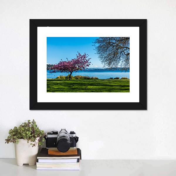 Cherry Tree Near Lake Canvas Wall Art-1 Piece-Framed Print-20" x 16"-Tiaracle