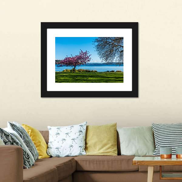 Cherry Tree Near Lake Canvas Wall Art-3 Horizontal-Gallery Wrap-25" x 16"-Tiaracle