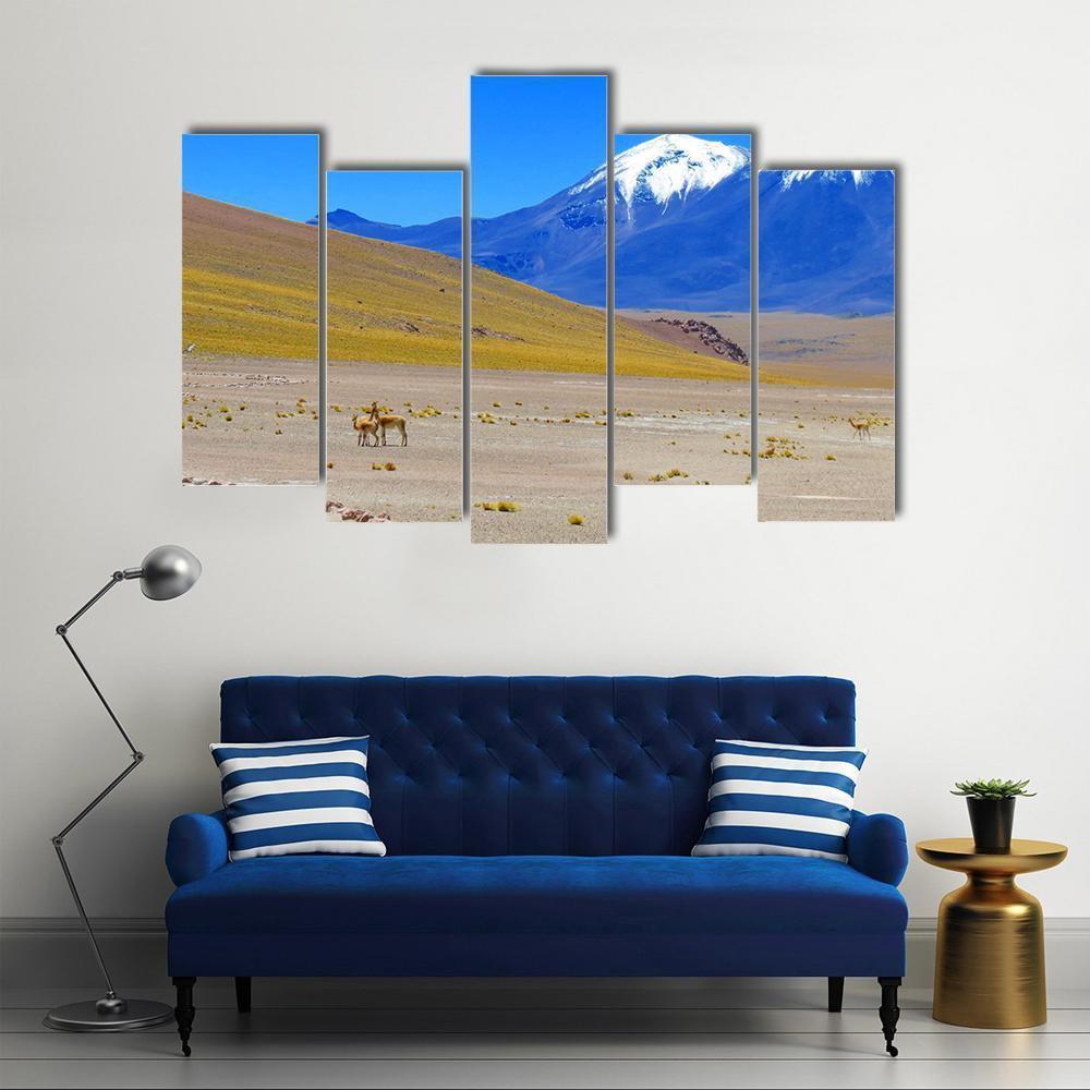 Chilean Landscape Canvas Wall Art-5 Pop-Gallery Wrap-47" x 32"-Tiaracle