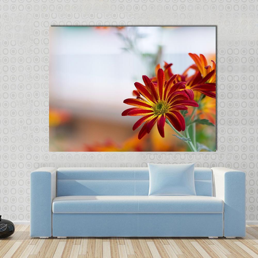 Chrysanthemum Under Sky Canvas Wall Art-1 Piece-Gallery Wrap-48" x 32"-Tiaracle