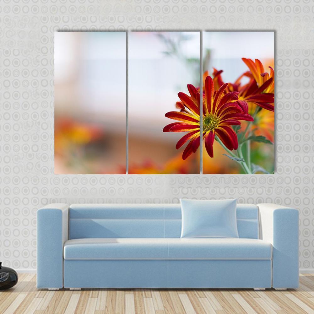 Chrysanthemum Under Sky Canvas Wall Art-3 Horizontal-Gallery Wrap-37" x 24"-Tiaracle