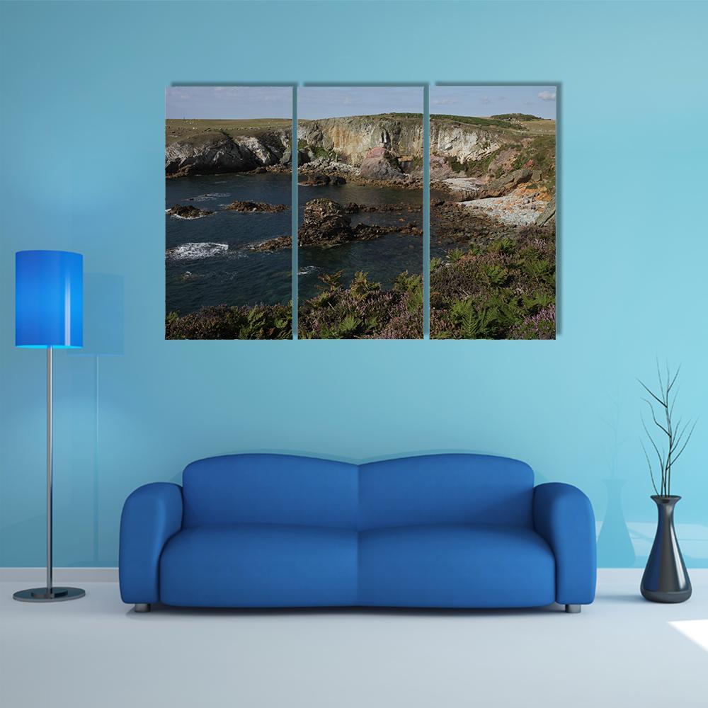 Cliff Top Plants Canvas Wall Art-3 Horizontal-Gallery Wrap-37" x 24"-Tiaracle