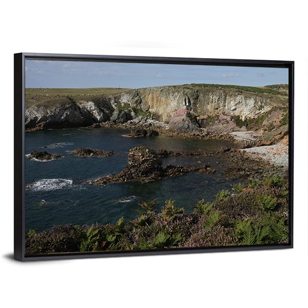 Cliff Top Plants Canvas Wall Art-3 Horizontal-Gallery Wrap-25" x 16"-Tiaracle