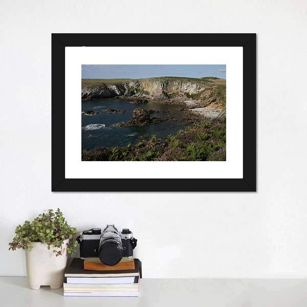 Cliff Top Plants Canvas Wall Art-3 Horizontal-Gallery Wrap-25" x 16"-Tiaracle