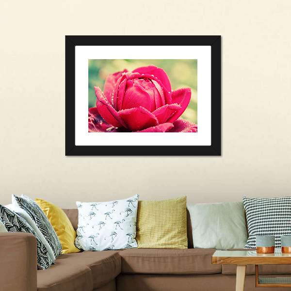 Close Up Of Flower Canvas Wall Art-1 Piece-Framed Print-20" x 16"-Tiaracle