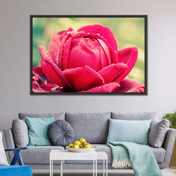 Close Up Of Flower Canvas Wall Art-5 Horizontal-Gallery Wrap-22" x 12"-Tiaracle