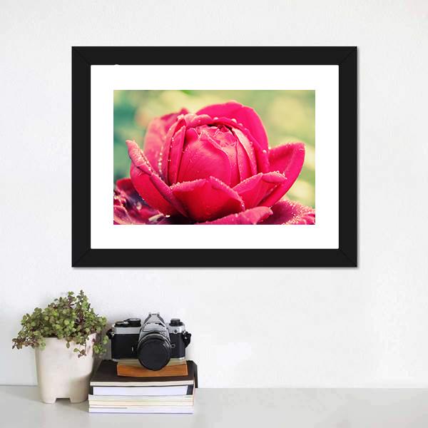 Close Up Of Flower Canvas Wall Art-5 Horizontal-Gallery Wrap-22" x 12"-Tiaracle
