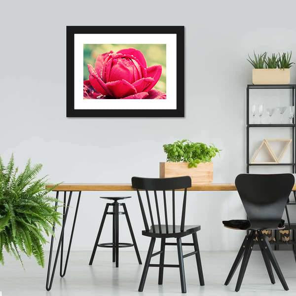 Close Up Of Flower Canvas Wall Art-5 Horizontal-Gallery Wrap-22" x 12"-Tiaracle