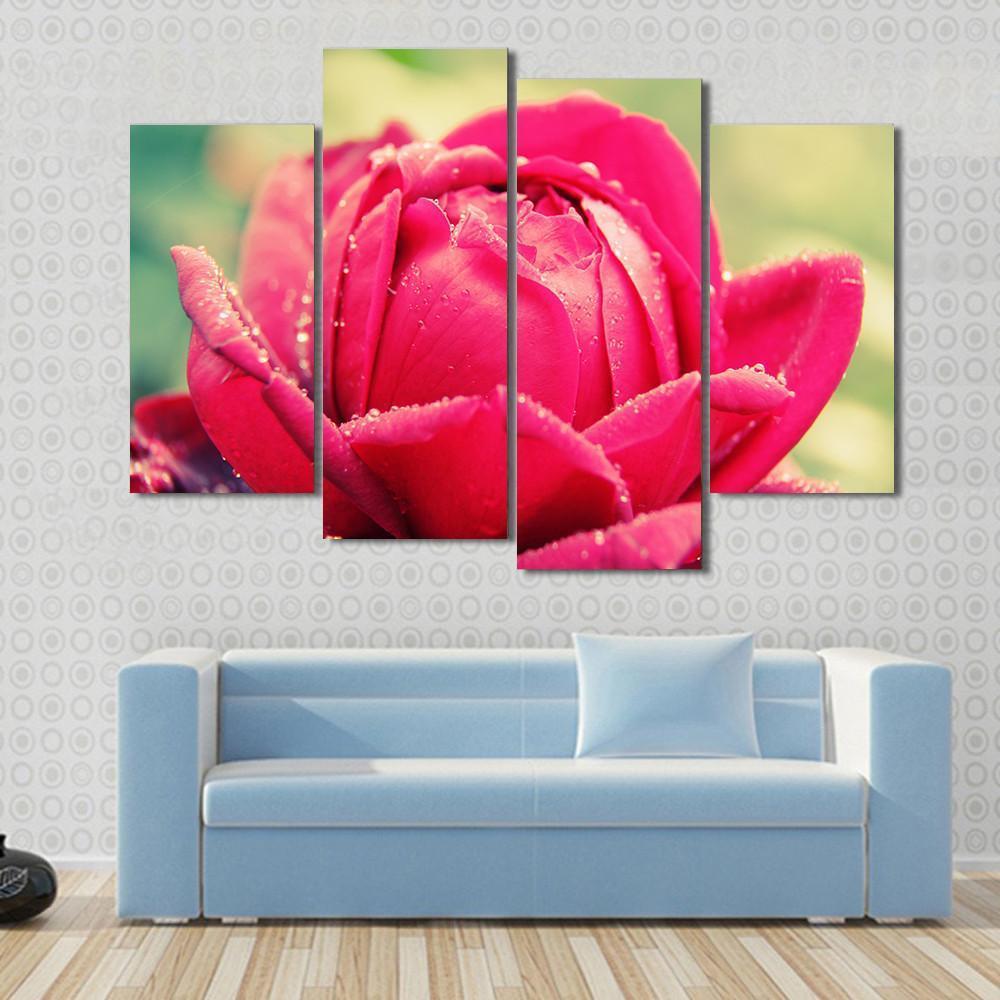Close Up Of Flower Canvas Wall Art-4 Pop-Gallery Wrap-50" x 32"-Tiaracle