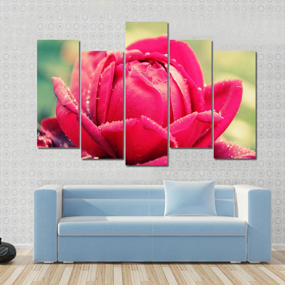 Close Up Of Flower Canvas Wall Art-5 Pop-Gallery Wrap-47" x 32"-Tiaracle