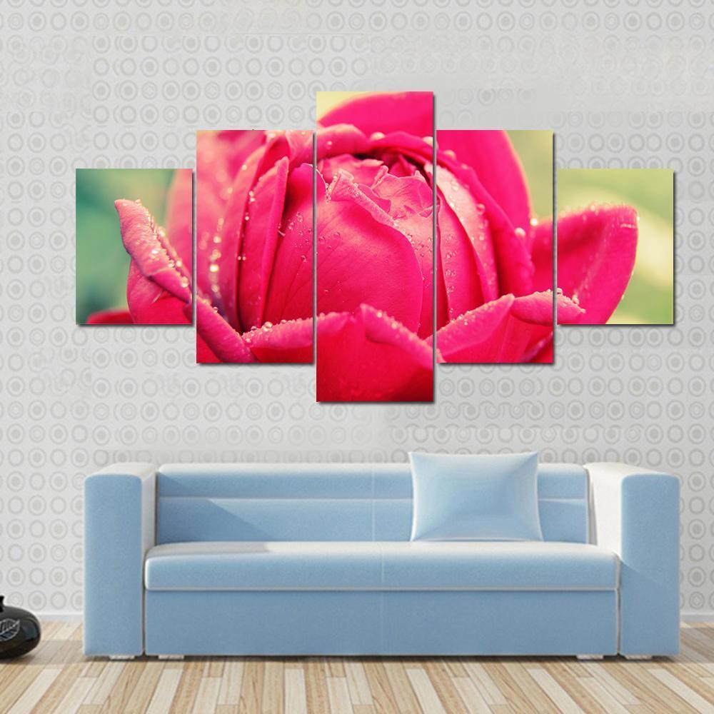 Close Up Of Flower Canvas Wall Art-5 Star-Gallery Wrap-62" x 32"-Tiaracle