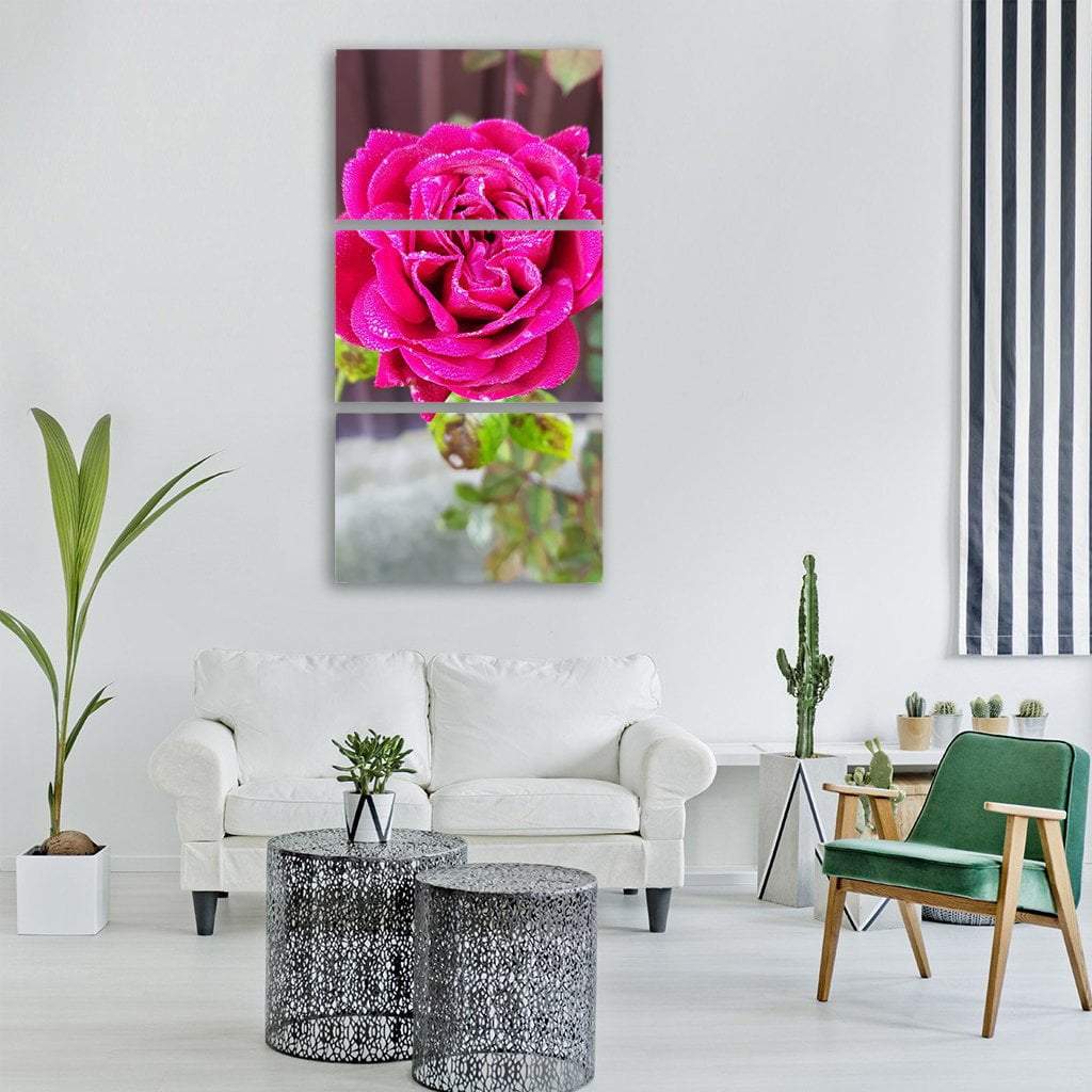 Pink Rose Vertical Canvas Wall Art-3 Vertical-Gallery Wrap-12" x 25"-Tiaracle