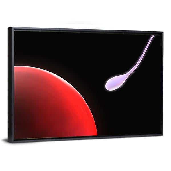 Close Up Of Sperm Canvas Wall Art-3 Horizontal-Gallery Wrap-25" x 16"-Tiaracle