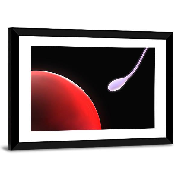 Close Up Of Sperm Canvas Wall Art-3 Horizontal-Gallery Wrap-25" x 16"-Tiaracle