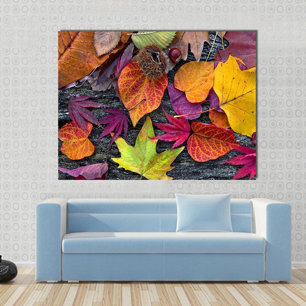 Colorful Autumn Leaves Canvas Wall Art in orange, yellow and multicolor, single panel hung on a wall