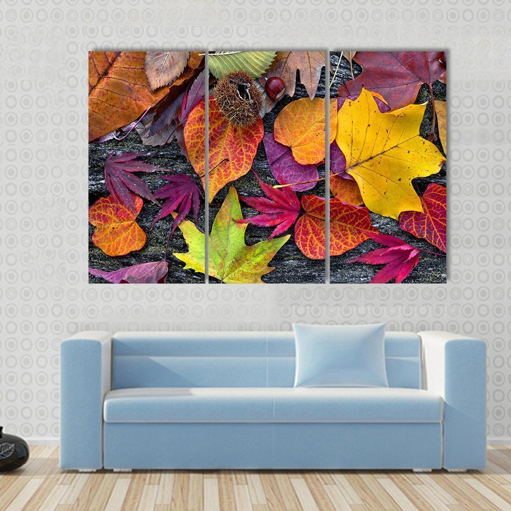 Colorful Autumn Leaves Canvas Wall Art-3 Horizontal-Gallery Wrap-37" x 24"-Tiaracle