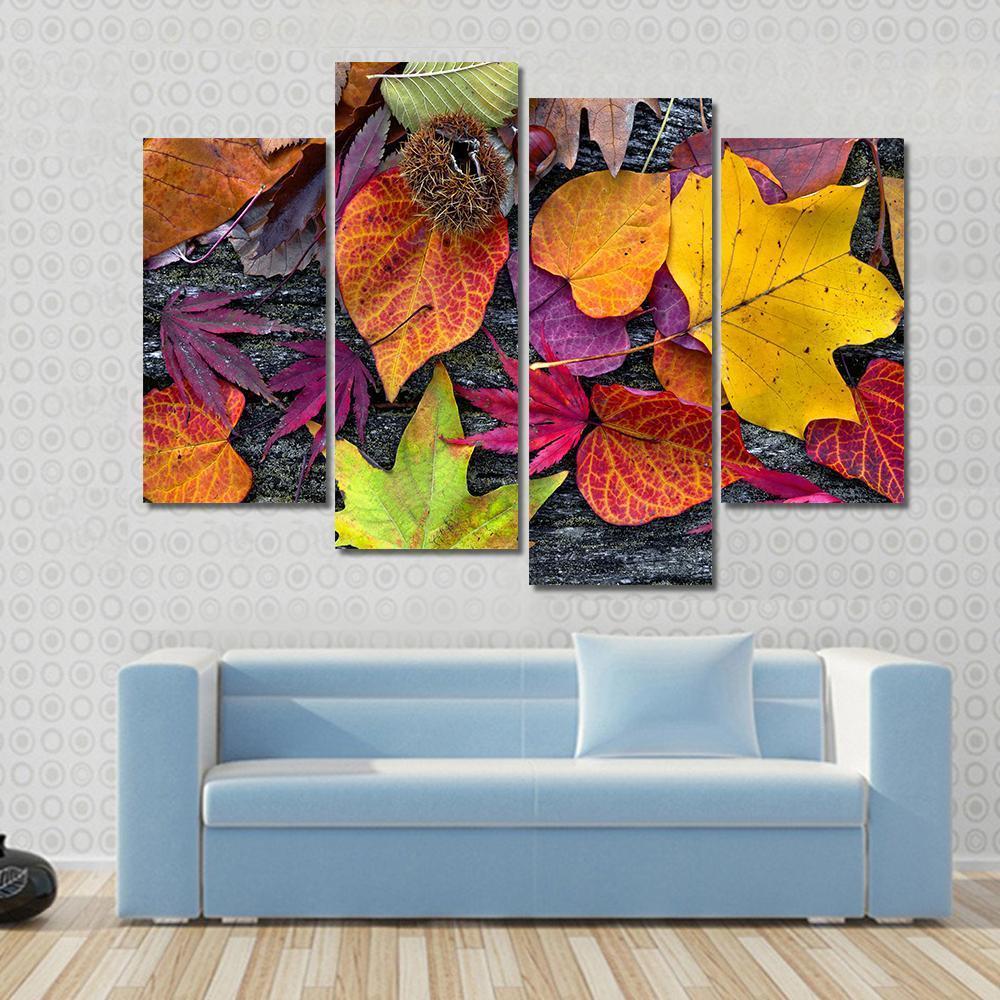 Colorful Autumn Leaves Canvas Wall Art-4 Pop-Gallery Wrap-50" x 32"-Tiaracle