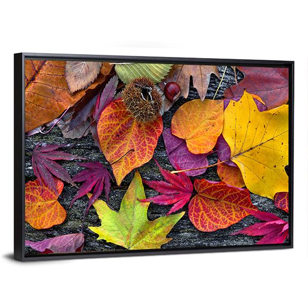 Colorful Autumn Leaves Canvas Wall Art-3 Horizontal-Gallery Wrap-25" x 16"-Tiaracle