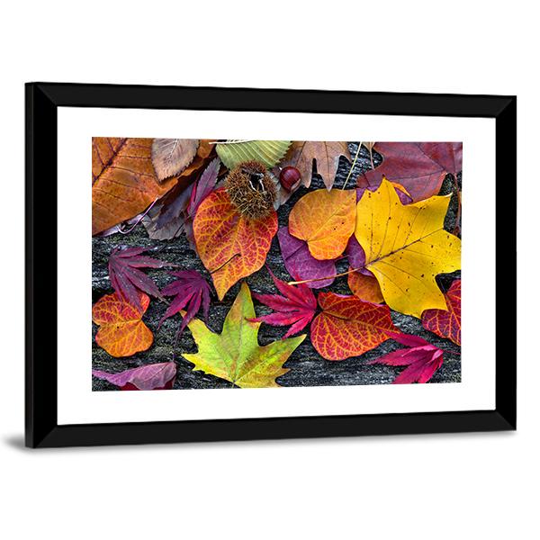 Colorful Autumn Leaves Canvas Wall Art-3 Horizontal-Gallery Wrap-25" x 16"-Tiaracle