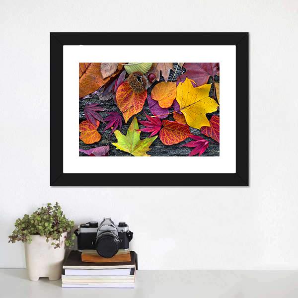Colorful Autumn Leaves Canvas Wall Art-3 Horizontal-Gallery Wrap-25" x 16"-Tiaracle