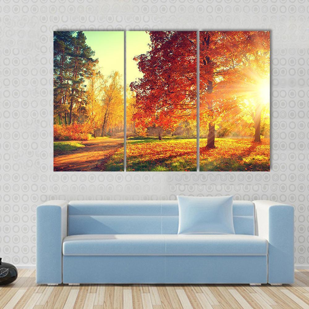 Colorful Autumn Morning Canvas Wall Art-3 Horizontal-Gallery Wrap-37" x 24"-Tiaracle