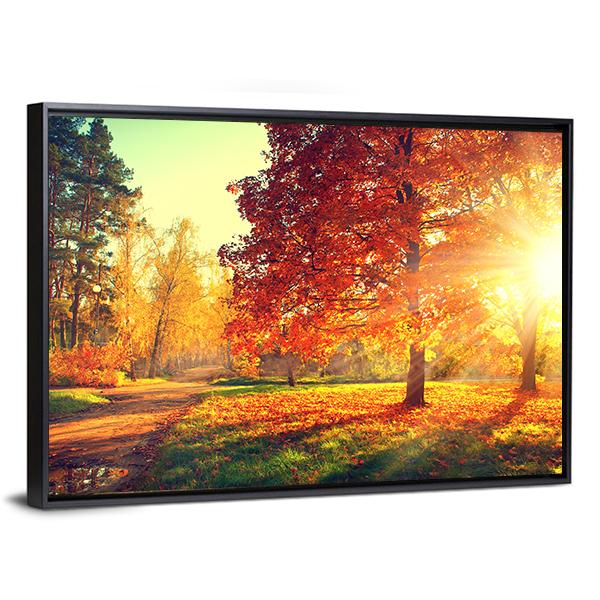 Colorful Autumn Morning Canvas Wall Art-3 Horizontal-Gallery Wrap-25&quot; x 16&quot;-Tiaracle