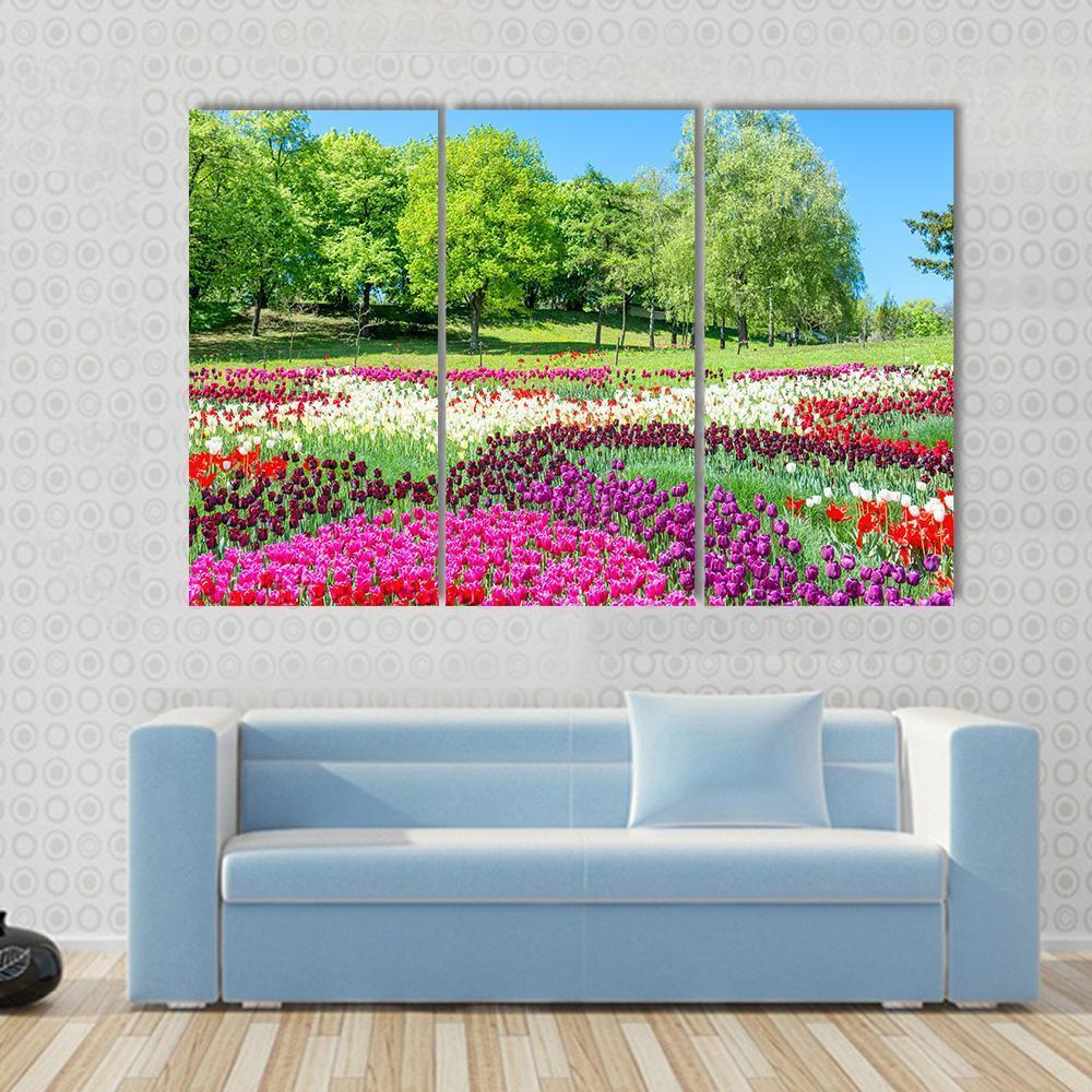 Colorful Flowers In Green Park Canvas Wall Art-3 Horizontal-Gallery Wrap-37" x 24"-Tiaracle