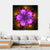 Colorful Fractal Artwork Canvas Wall Art-4 Square-Gallery Wrap-17" x 17"-Tiaracle