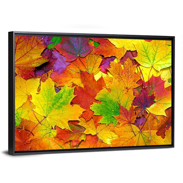 Colorful Leaves Canvas Wall Art-3 Horizontal-Gallery Wrap-25" x 16"-Tiaracle