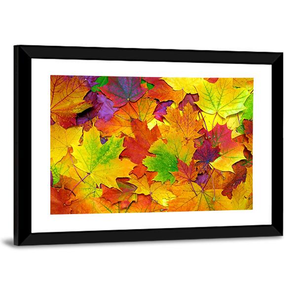 Colorful Leaves Canvas Wall Art-3 Horizontal-Gallery Wrap-25" x 16"-Tiaracle