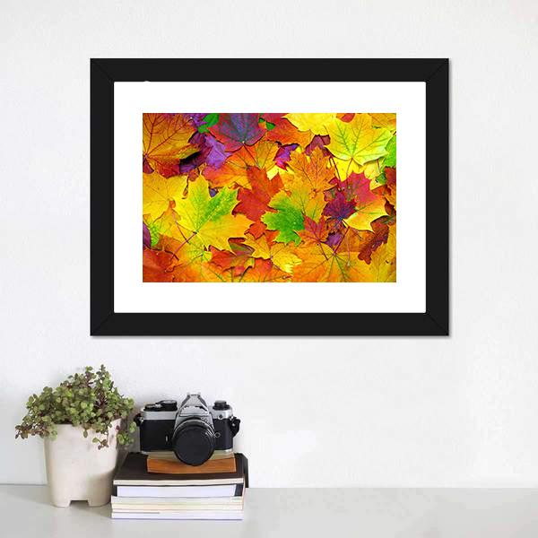 Colorful Leaves Canvas Wall Art-3 Horizontal-Gallery Wrap-25" x 16"-Tiaracle