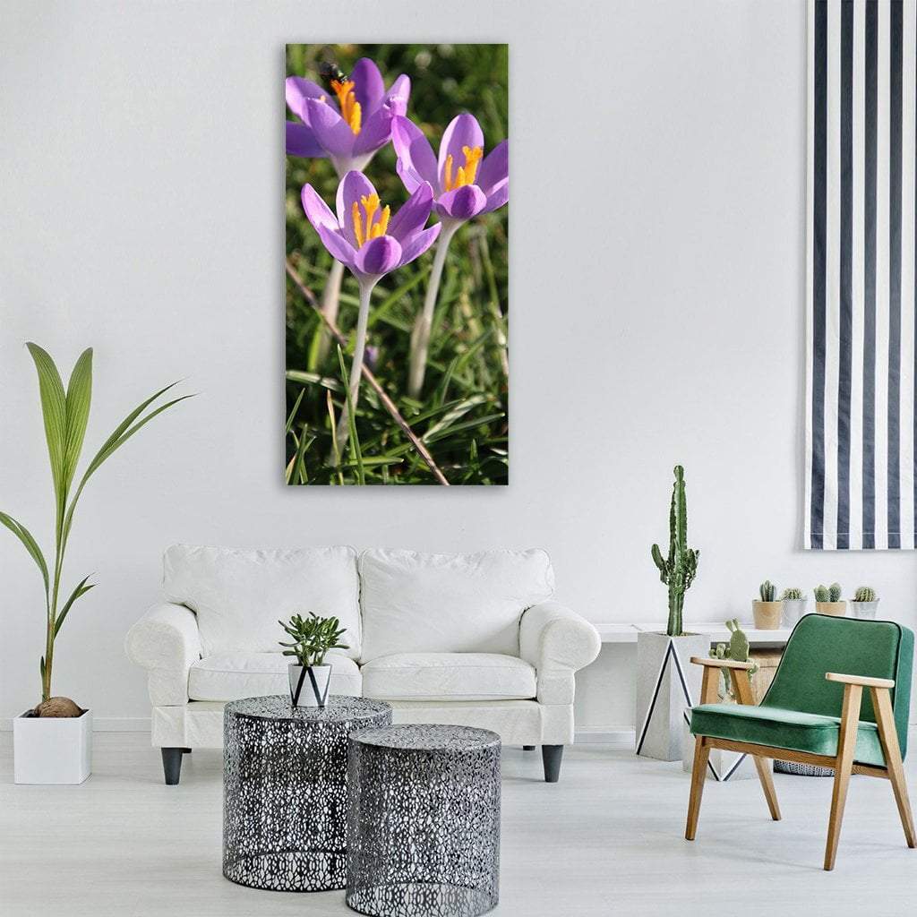 Bumblebee on Three Purple Crocuses Vertical Canvas Wall Art in yellow, green and purple, single vertical panel hung on a wall
